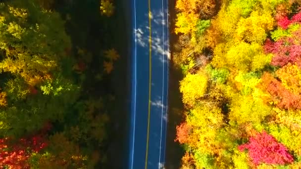 Video Leteckého Dolů Pohled Ohromující Silnici Přes New Hampshire Hory — Stock video