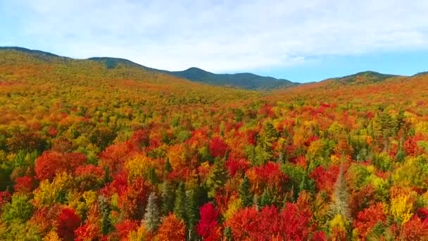 Vídeo Antena Para Trás Através Das Deslumbrantes Colinas Outono Montanhas — Vídeo de Stock