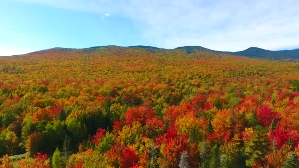 Videó Légi Forgás 360 Kilátás Lenyűgöző Vermont Csúcs Alá Dombok — Stock videók
