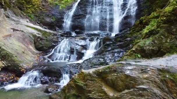空中飛行のビデオ滝の葉と岩の表面上に静かにカスケード下の滝の詳細まで飛ぶ — ストック動画