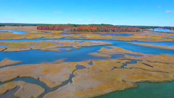 Wideo Lotu Ptaka Przez Wspaniałe Bagna Maine Opadającymi Lasami Plamami — Wideo stockowe