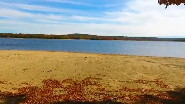 空中低空穿越湖水上空被落叶环绕的海滩森林的录像 — 图库视频影像