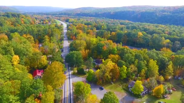 Video Aerial Peste Drum Tăiere Prin Pădurea Toamna Timpurie Lungul — Videoclip de stoc