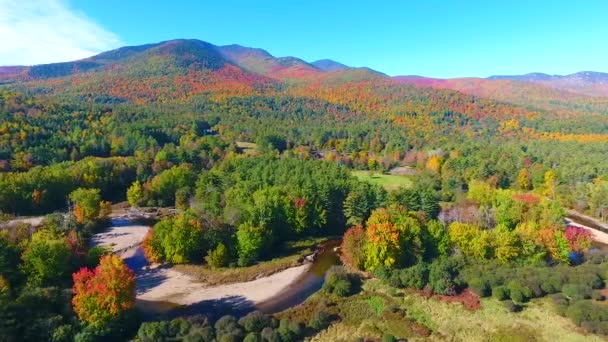 Video Von Luftaufnahme Eines Flusses Der Sich Durch Sattgrüne Und — Stockvideo