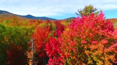 Havadan alçaktan Vermont 'un göz kamaştırıcı tepe ve dağlarının yüksek görüntüsüne.