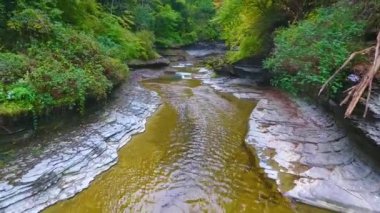 Yukarıdan nehrin aşağısına ve ormana bakan büyük şelalenin tersine dönen Aerial videosu.