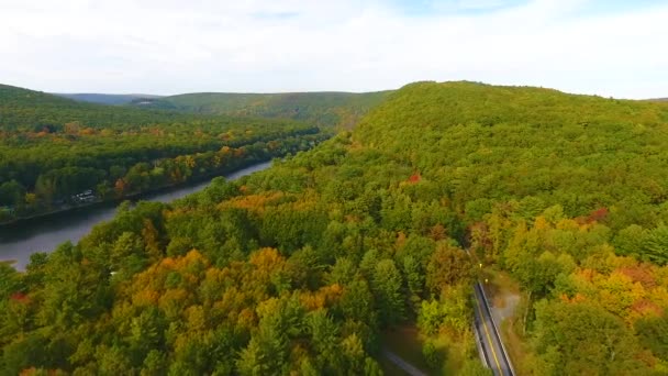 Wideo Lotu Ptaka Drodze Przecinającej Las Wczesną Jesienią Wzdłuż Rzeki — Wideo stockowe