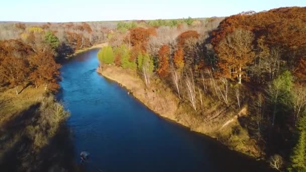 Wideo Lotu Ptaka Wzdłuż Późnej Jesieni Rzeki Michigan Lasu Drona — Wideo stockowe