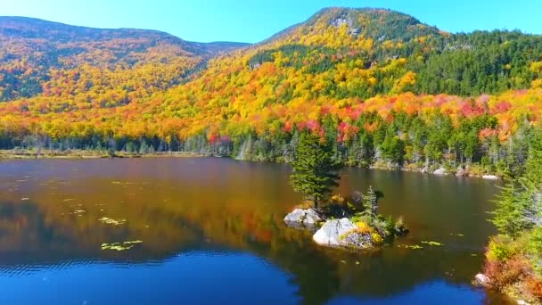 在新罕布什尔湖的一个小岛上 空中飞着一棵松树 周围环绕着秋天的落叶群山 — 图库视频影像