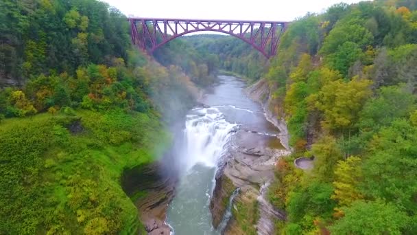 Βίντεο Της Aerial Προς Καταπράσινο Δάσος Και Φαράγγι Τεράστια Γέφυρα — Αρχείο Βίντεο
