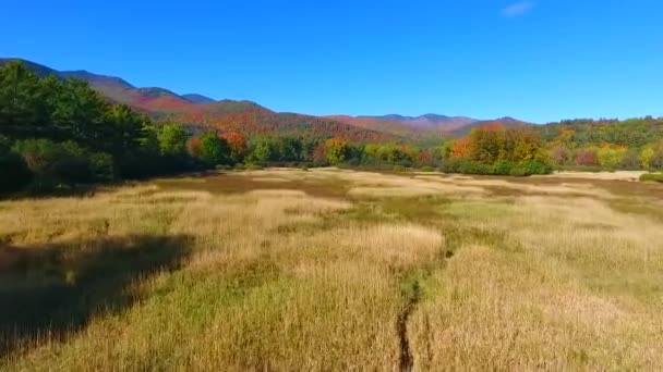 가을의 산들이 뒤섞여 들판을 공중에서 바라보는 — 비디오