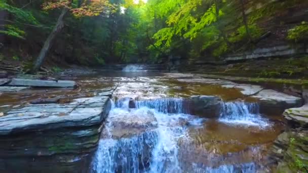 Vídeo Baixo Para Trás Sobre Desfiladeiro Com Vários Níveis Cachoeiras — Vídeo de Stock