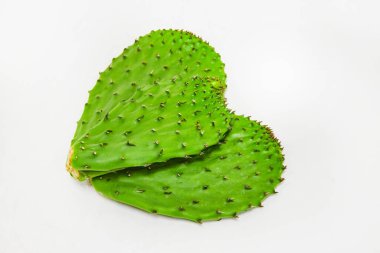 Beyaz arkaplanda üç kaktüs pedi yukarıdan aşağı görünümü