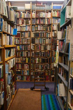 Kitap rafları, merdiveni, kitapları, halısı ve büyülü hikayelerin duvarları olan Kütüphane kitapçısının resmi