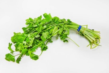 Beyaz arkaplanda taze yeşil kişniş demetinin yukarıdan aşağıya görünümü