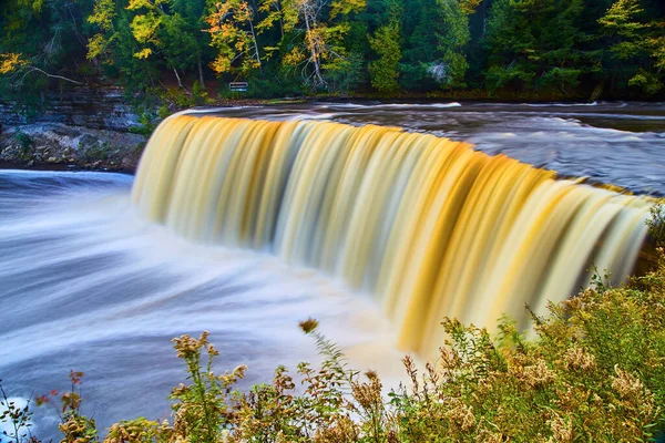 Bild Tahquamenon Falls Med Tistel Ogräs Växer Bredvid Floden Och — Stockfoto