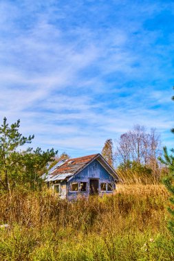 Beyaz bulutlu parlak mavi gökyüzü ve terk edilmiş mavi ev. Altın çimen tarlasında boyalı.