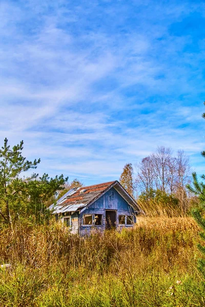 在金色的草地上 明亮的蓝天 废弃的蓝色家园剪彩的图像 — 图库照片