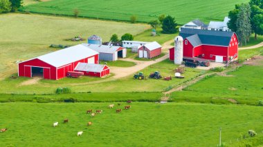 Image of Aerial farmland with cows grazing in green pastures and red barn and red stable clipart