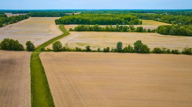 Gökyüzü 'nün görüntüsü verimsiz tarım arazileri ve yeşil bir çim nehri ormanı gösteriyor.