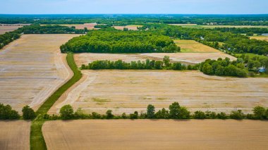 Ormana giden boş tarım alanlarında sürünen yeşil yol görüntüsü.