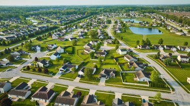 Banliyö evleriyle dolu iki büyük mahalleyi ayıran çam ağaçlarına dizilmiş yol görüntüsü