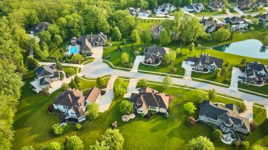 Göl yeşil orman ağaçlarının antenli zengin küçük malikane evleri.