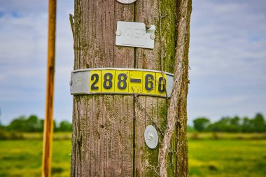 Telefon direği 288-60 'ın görüntüsü. Metal plaka kısmen ölü asma ve bulanık alan ile kaplı.