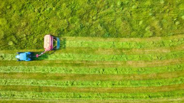 Alan havası arka planında otları biçen traktör görüntüsü