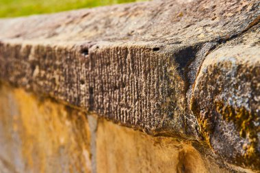 Beton duvardaki yosunlu desenli çıkıntıların görüntüsü