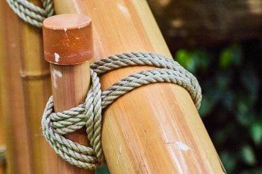 Işıl ışıl bambu direkleri birbirine bağlanmış halat ve uzak koyu yeşil yapraklarla yakın görüntüler.