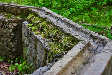Yerüstü su kemeri resmi beton yapı gibi kısmi altıgen şekilli şey bitki yaşamı ile kaplanmış.
