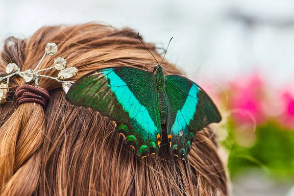 翡翠燕尾蝶在女人辫子般的头发上休息的图像 就像一个发夹或发夹配件 — 图库照片