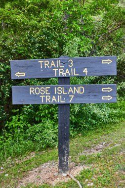 Orman, orman, patika işareti, tahta tabela, patika üç, patika dört, gül adası, patika üç, patika dört.