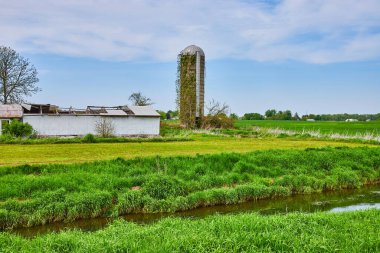 Silo 'nun resmi, yaz, mavi gökyüzü, dere hendeği, yeşil sarmaşık yukarı tırmanıyor ve eski bina