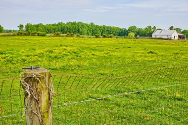 Yeşil otlağın önündeki, uzak orman ve ahırlı Çit 'in görüntüsü