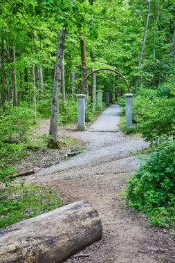 Ormanın sonundaki uzak kemer yolu görüntüsü, ormana giden kemer, devrilmiş ağaç kütüğü, çizgi yolu.