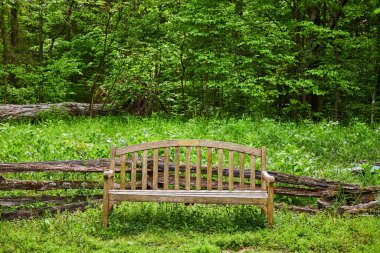 Yeşil çimenlikte, arkasında devrilmiş ağaç ve orman arkaplanı olan basit bir bank.
