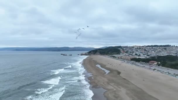 Video Leteckého Videa Sledujícího Hejno Ptáků Nad Pláží San Francisco — Stock video