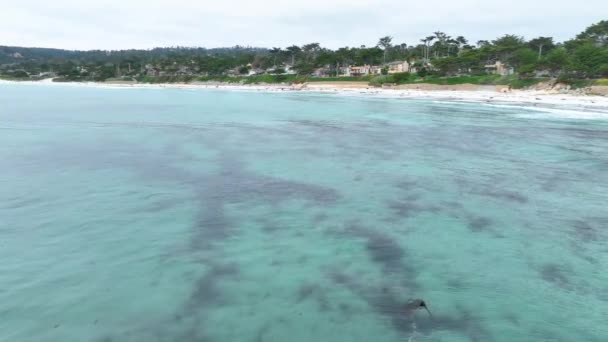 Vidéo Prise Vue Aérienne Dessus Océan Pacifique Vers Rivage Carmel — Video