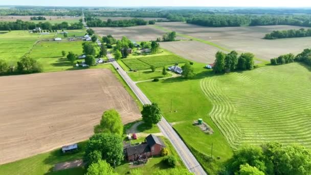 Video Aerial Farmland Bright Summer Day Ohio Outskirts Mount Vernon — Stock Video