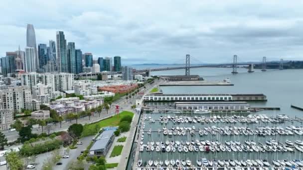 Videó Dolly Légi Felvétel South Beach Móló Csónakokkal Belvárosi Kilátás — Stock videók