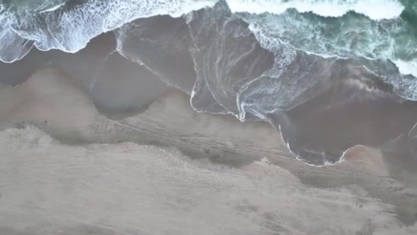ビーチの海岸パンニングに衝突する波の下方空中ビューのビデオ — ストック動画