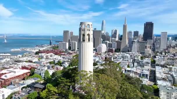 明るい晴れた日のコイトタワーのビデオ サンフランシスコ湾とダウンタウンシティの360ビュー — ストック動画