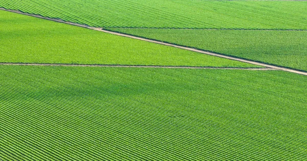 Afbeelding Van Aerial Background Asset Weelderige Groene Landbouwgrond Met Velden — Stockfoto