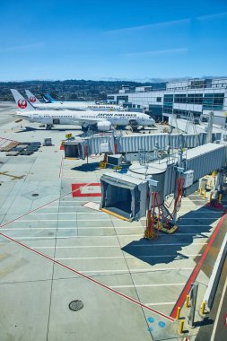 Terminal kapısı köprüleri ve uzak Japon Hava Yolları uçaklarıyla kenetlenen uçaklar için boş limanların görüntüsü