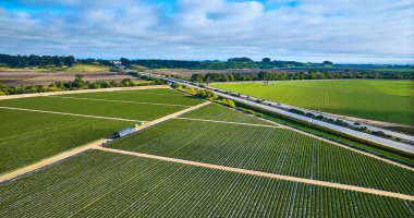 Koyu yeşil çilek tarlaları, yollar ve kırsal havadan geçen uzak otobanlar.