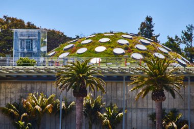 Image of Living roof exterior of the Academy of Sciences with window skylights on fake hill with grass clipart