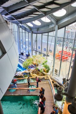 Bilim Akademisi 'nde balıklarla birlikte suyun üzerinde ahşap yürüyüş yapan insanların görüntüsü