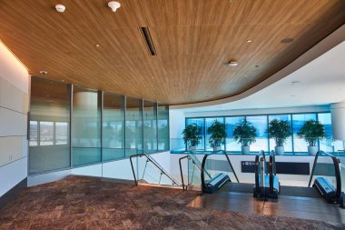 Merdiven resmi ve üzerinde kahverengi halı olan iki yürüyen merdiven ve mavi renkli pencereli bitkiler.